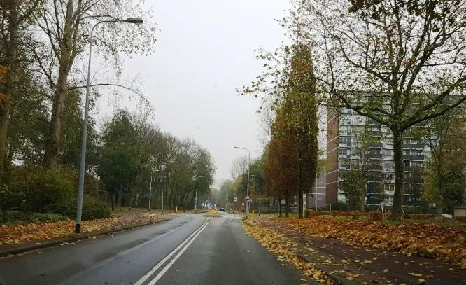 weer lewenborg