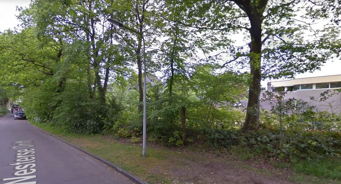 westerse drift haren
