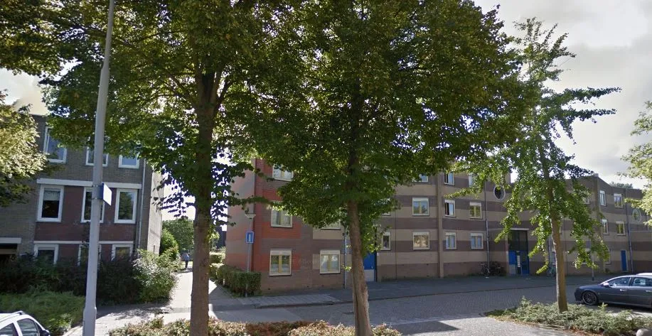 wibenaheerd nijesteinheerd groningen