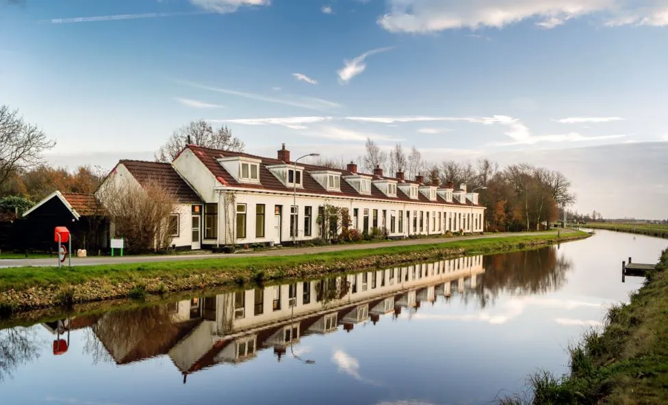 woudbloem foto henk veenstra