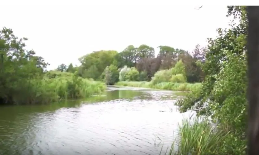 you tube beeldcitaat voedselbos glimmen