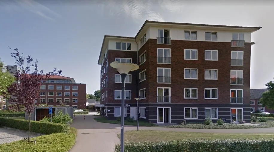 zinn de dilgt 3 haren1 e1541498005616