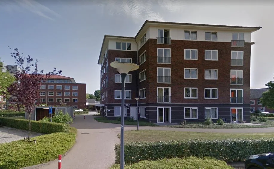 zinn de dilgt 3 haren1