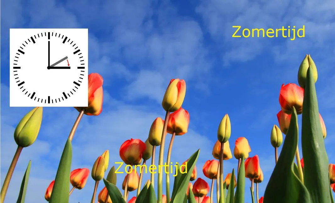 zomertijd 2019 2