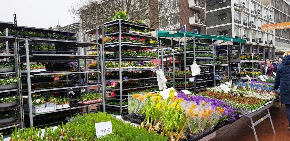 bloemen 1