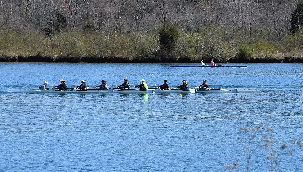 ladies scull rowing 2150320 1280