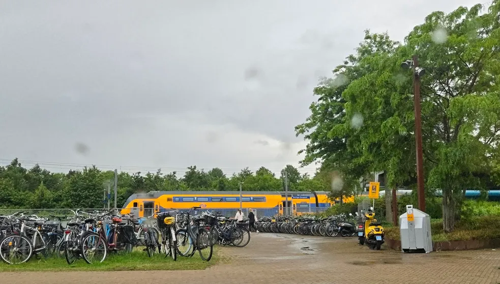 ns trein