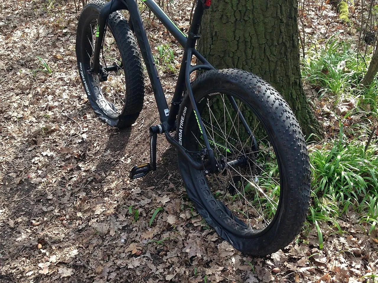 Fatbike_flat_tires cc by sa 4.o Flyerwe