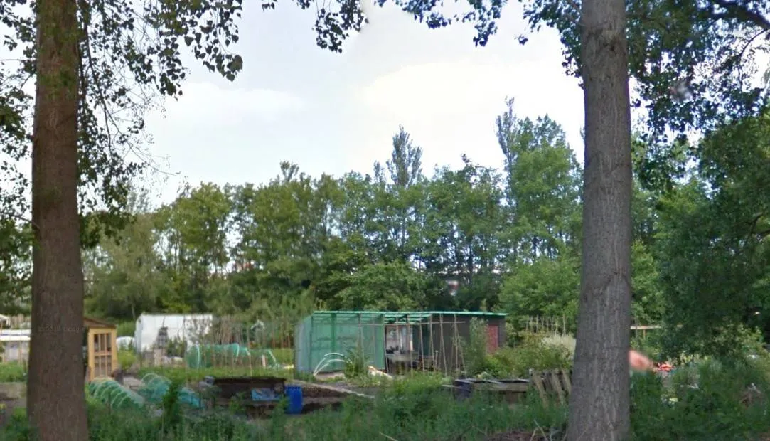 Goolden Raand volkstuin vinkhuizen