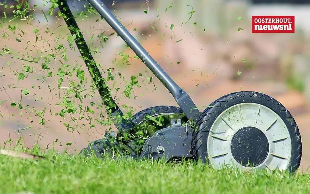 gras-maaien-6894265e81334 Counselling bij pixabay