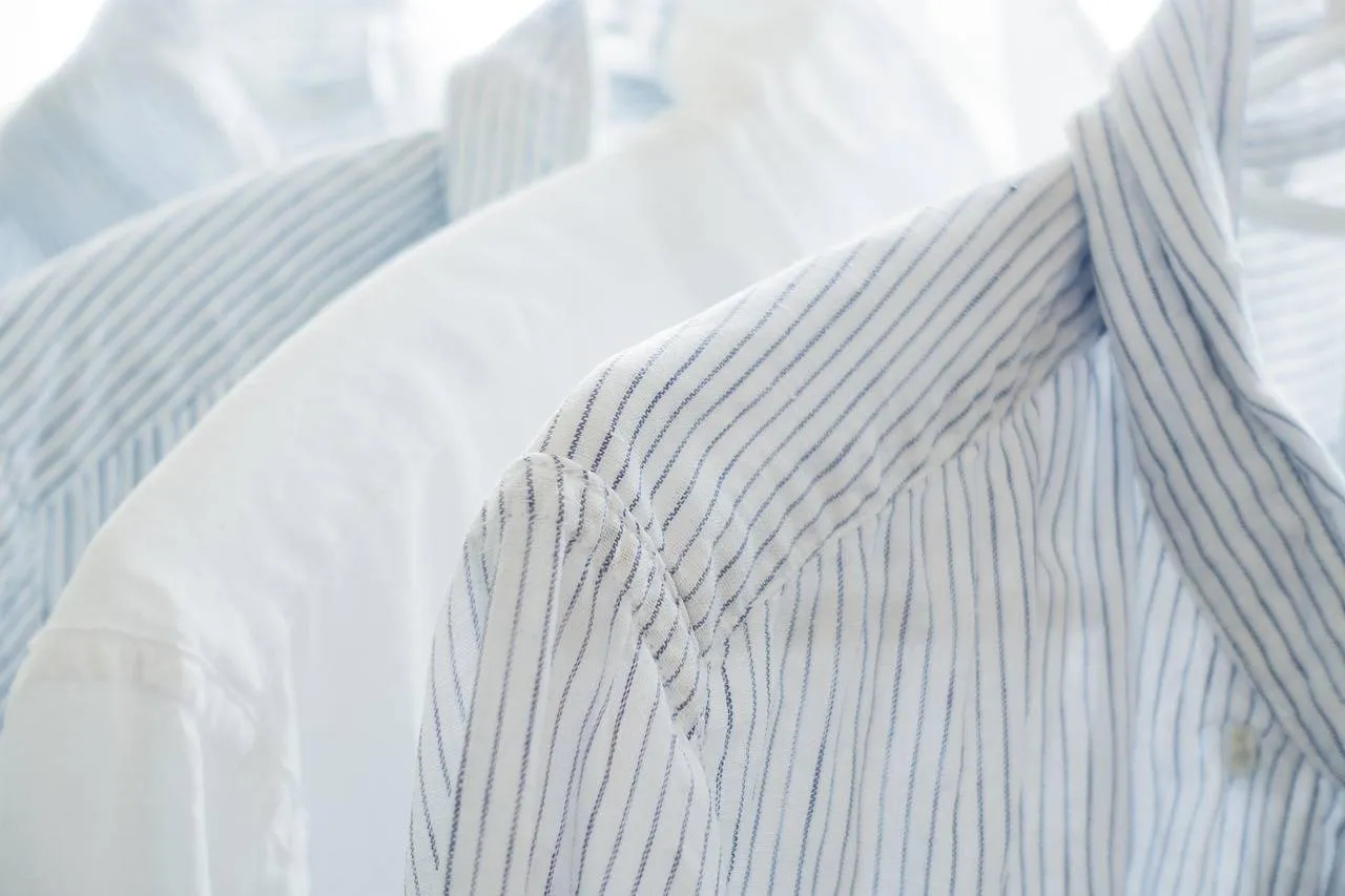 white-845071_1280