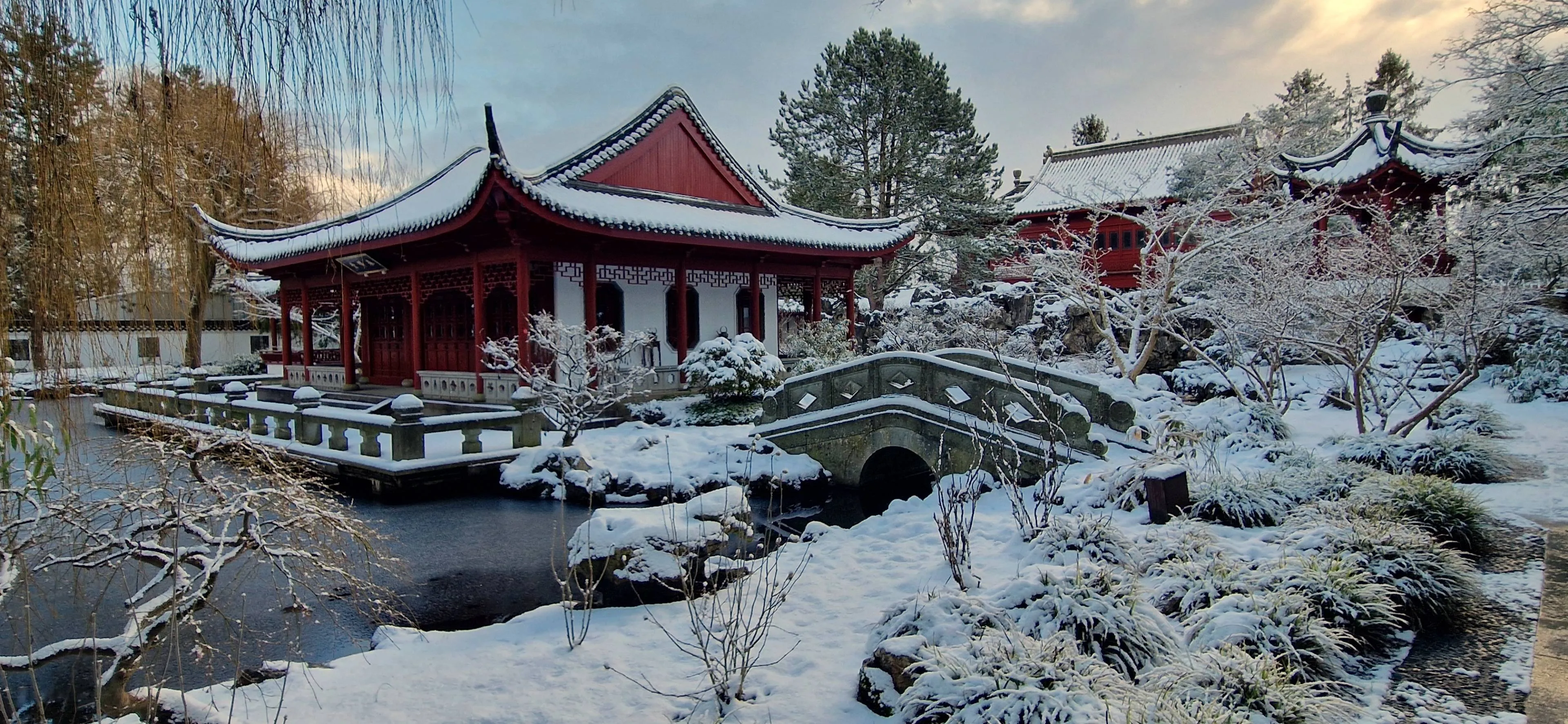 20260104_112447copie