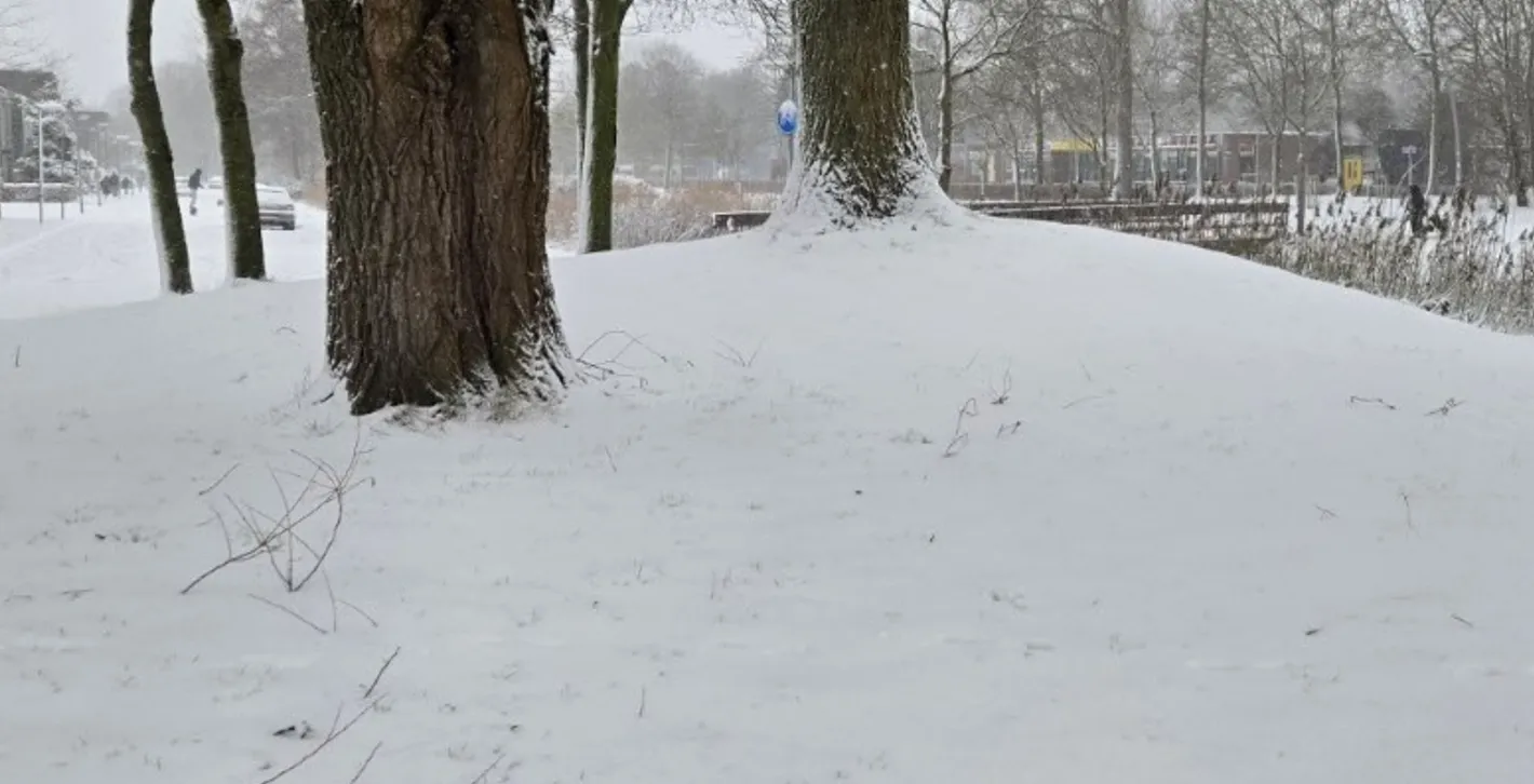 Schermafbeelding 2026-01-08 112724