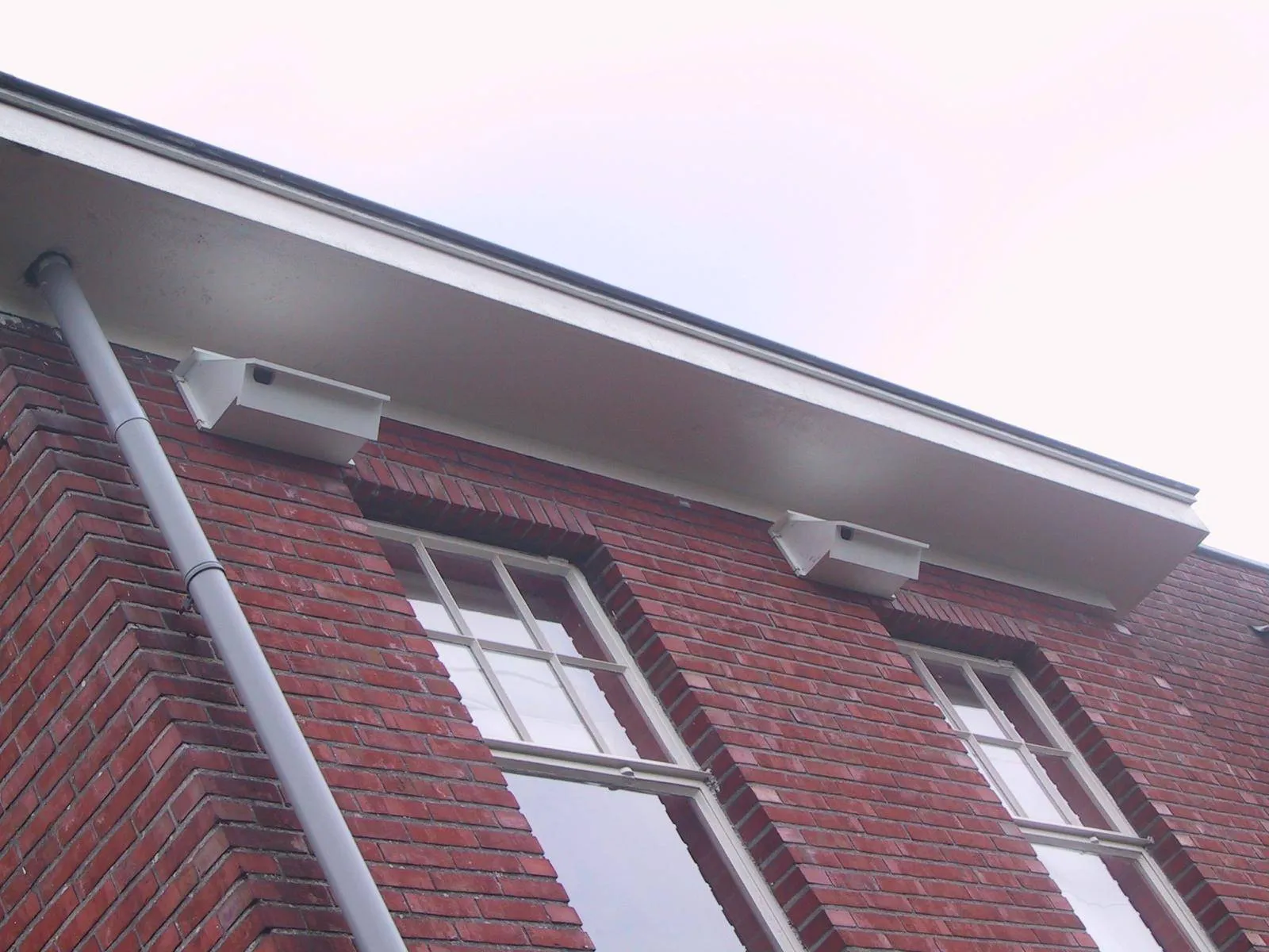 gierzwaluwkast emmastraat