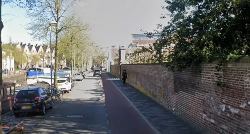 turfsingel