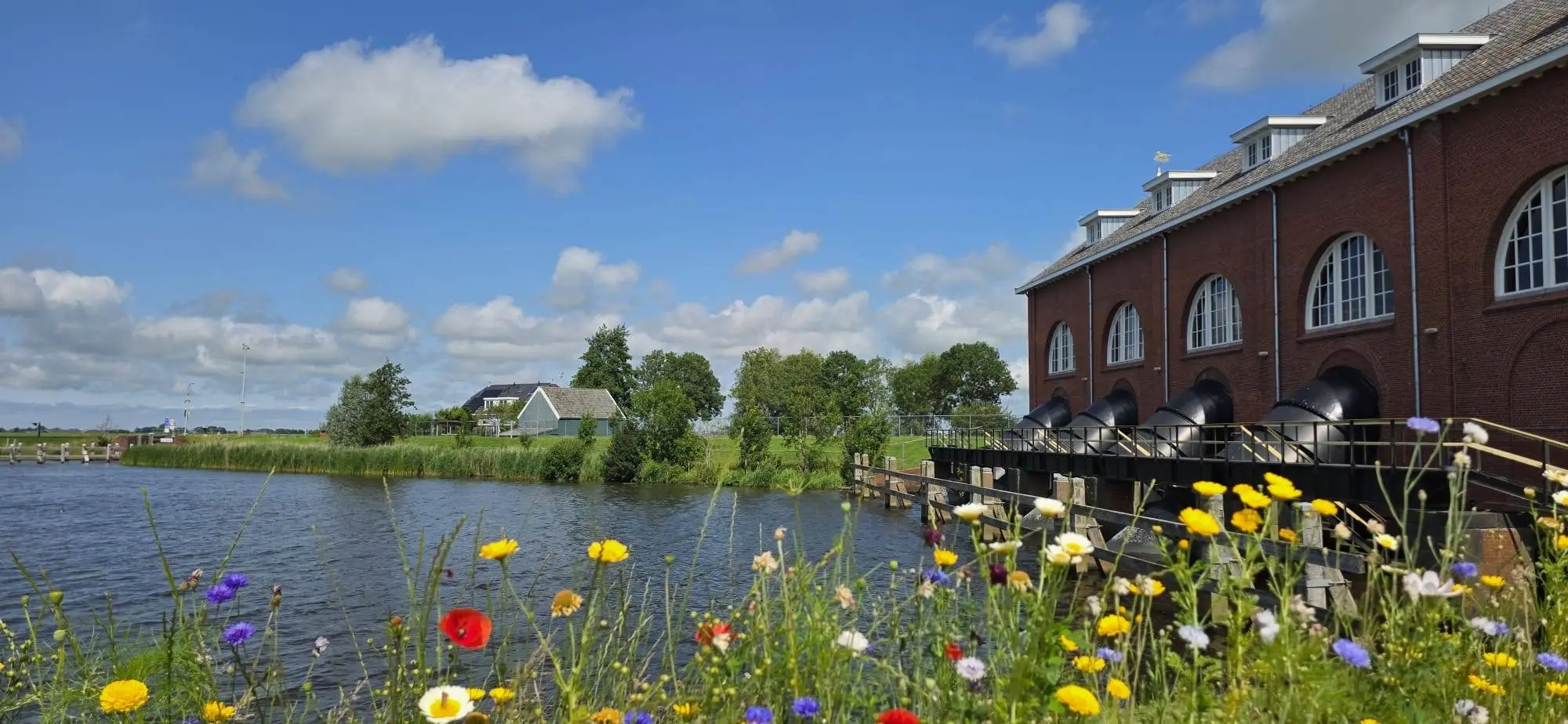 waterbeeld
