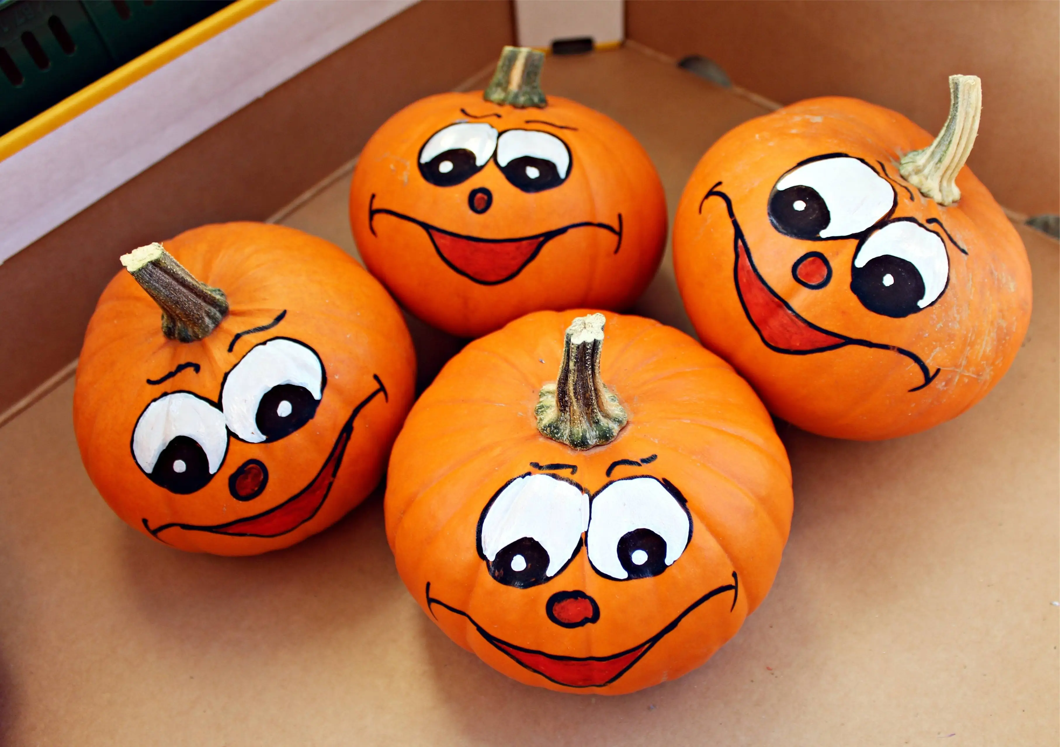 avantrend-pumpkin-448842