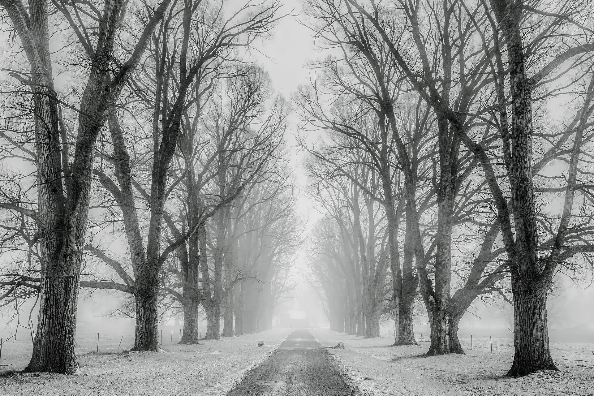 snow g7c7989b9e_1920