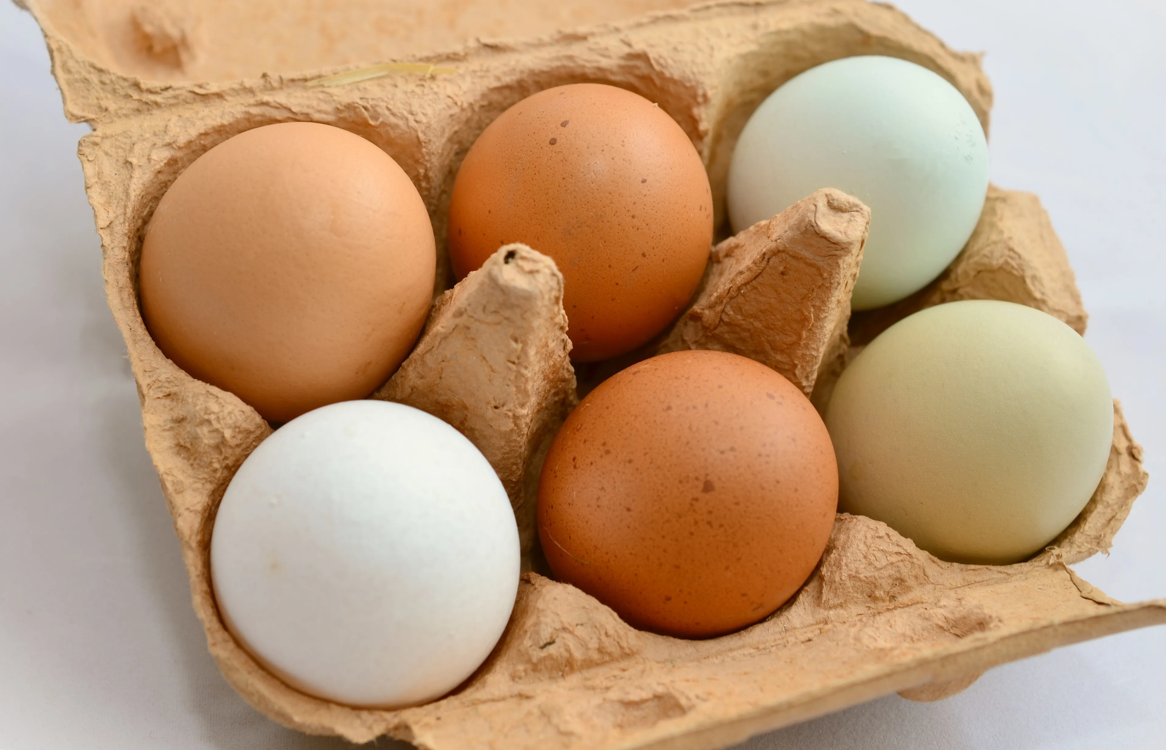 food egg nutrition brown eggs hens egg animal source foods 751720 pxherecom