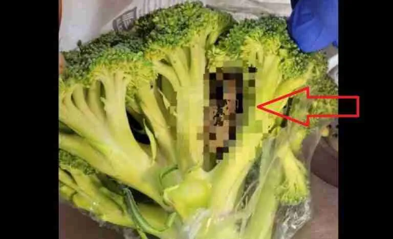 brocolli