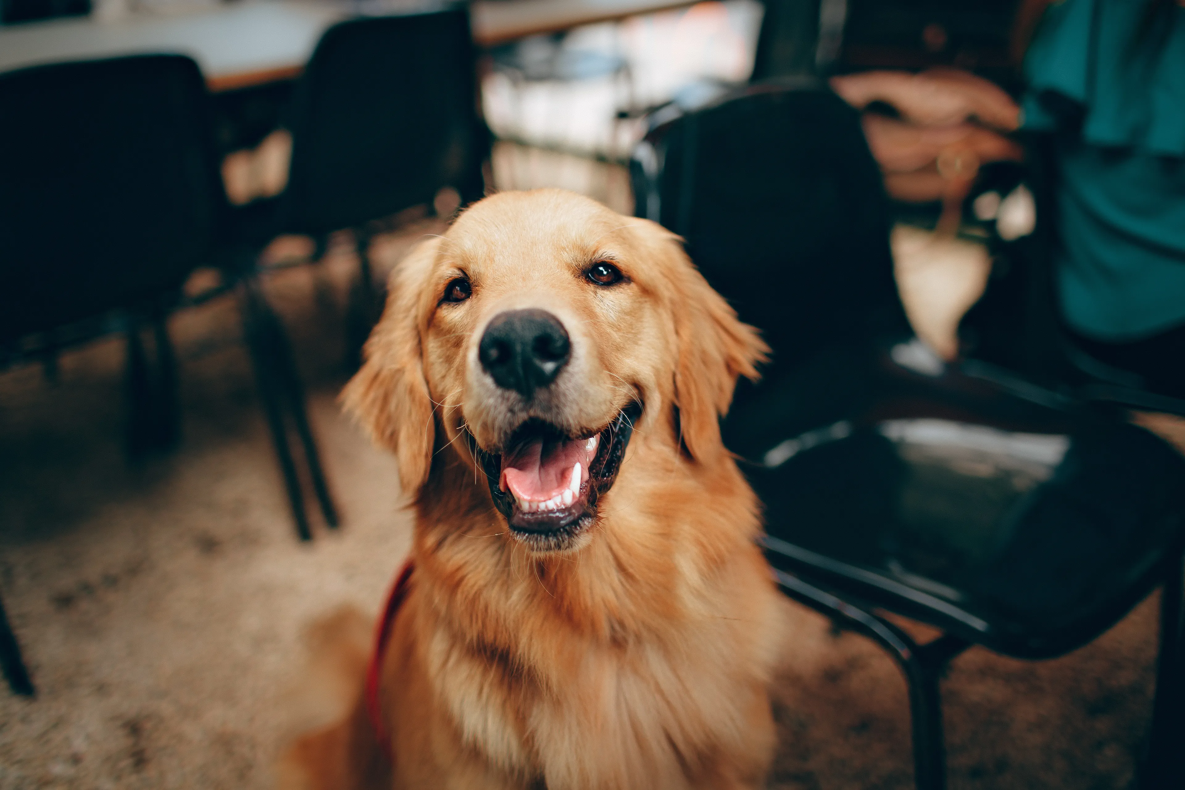 helena lopes xbnckqrrd0 unsplash