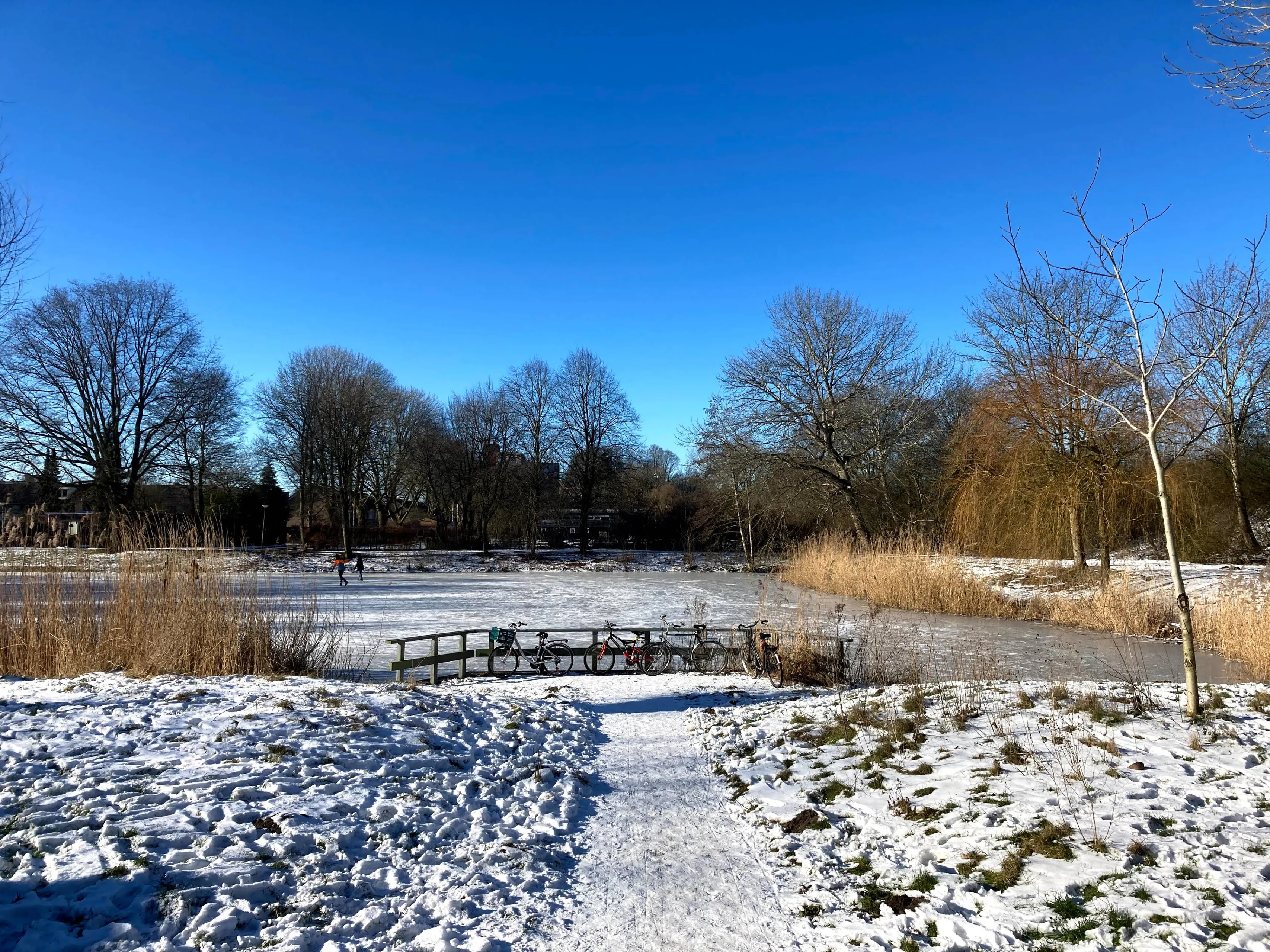sneeuw4784