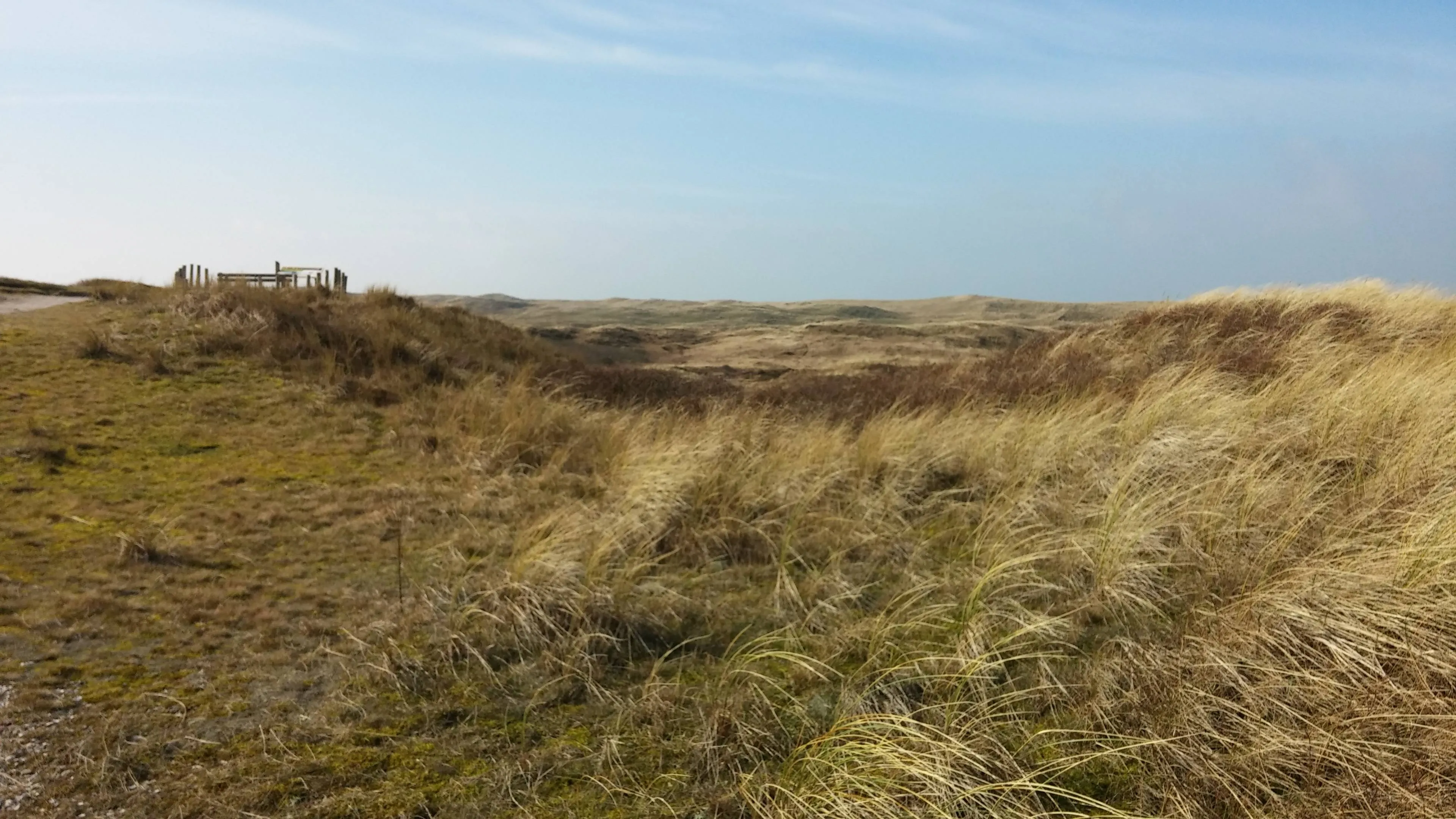 duinen