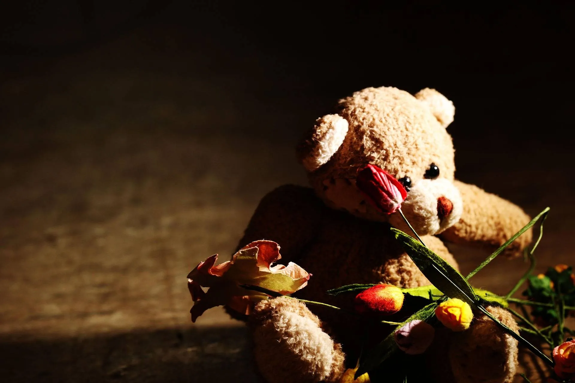 teddybear-2409878_1920