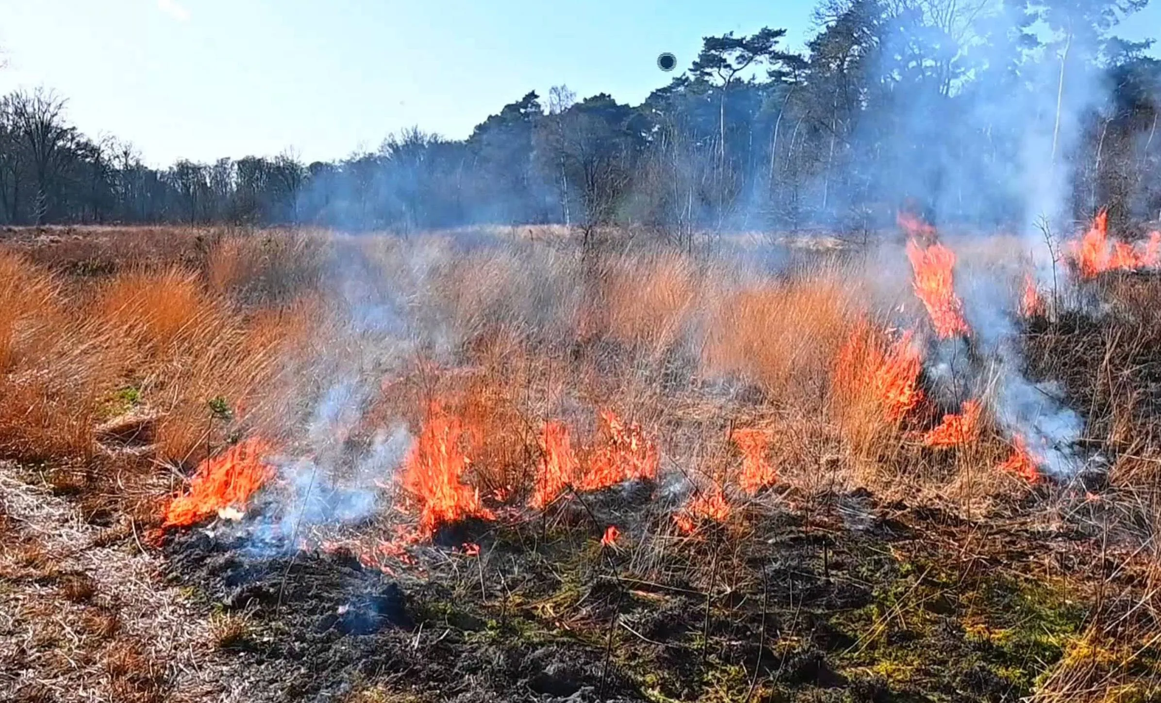 Scherm­afbeelding 2026-03-05 om 18.09.24
