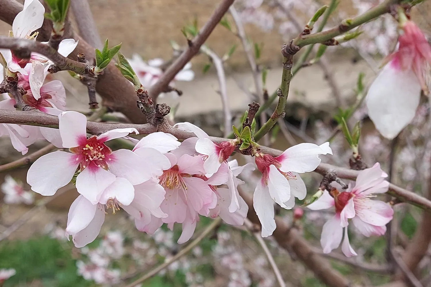 16 maart inspiratiemarkt groen en klimaatadaptie