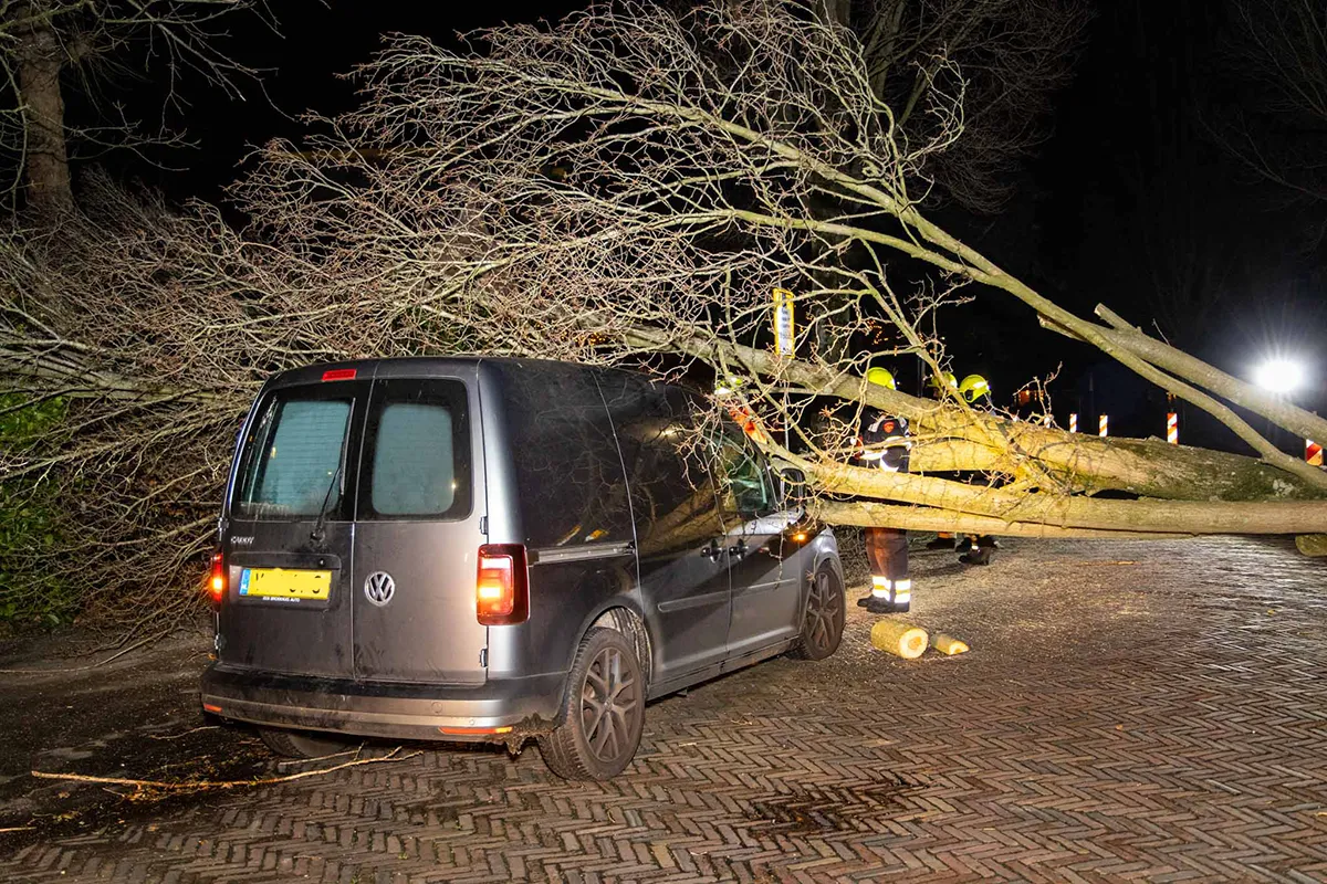 18 februari 2022 nieuwsfoto haarlem 01 1