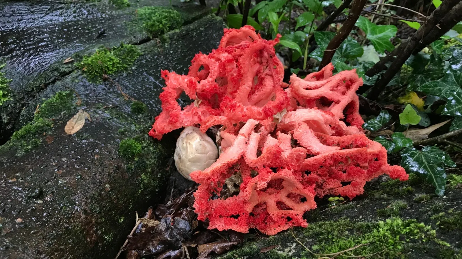 374165w1600b96641bbc7bf12q90