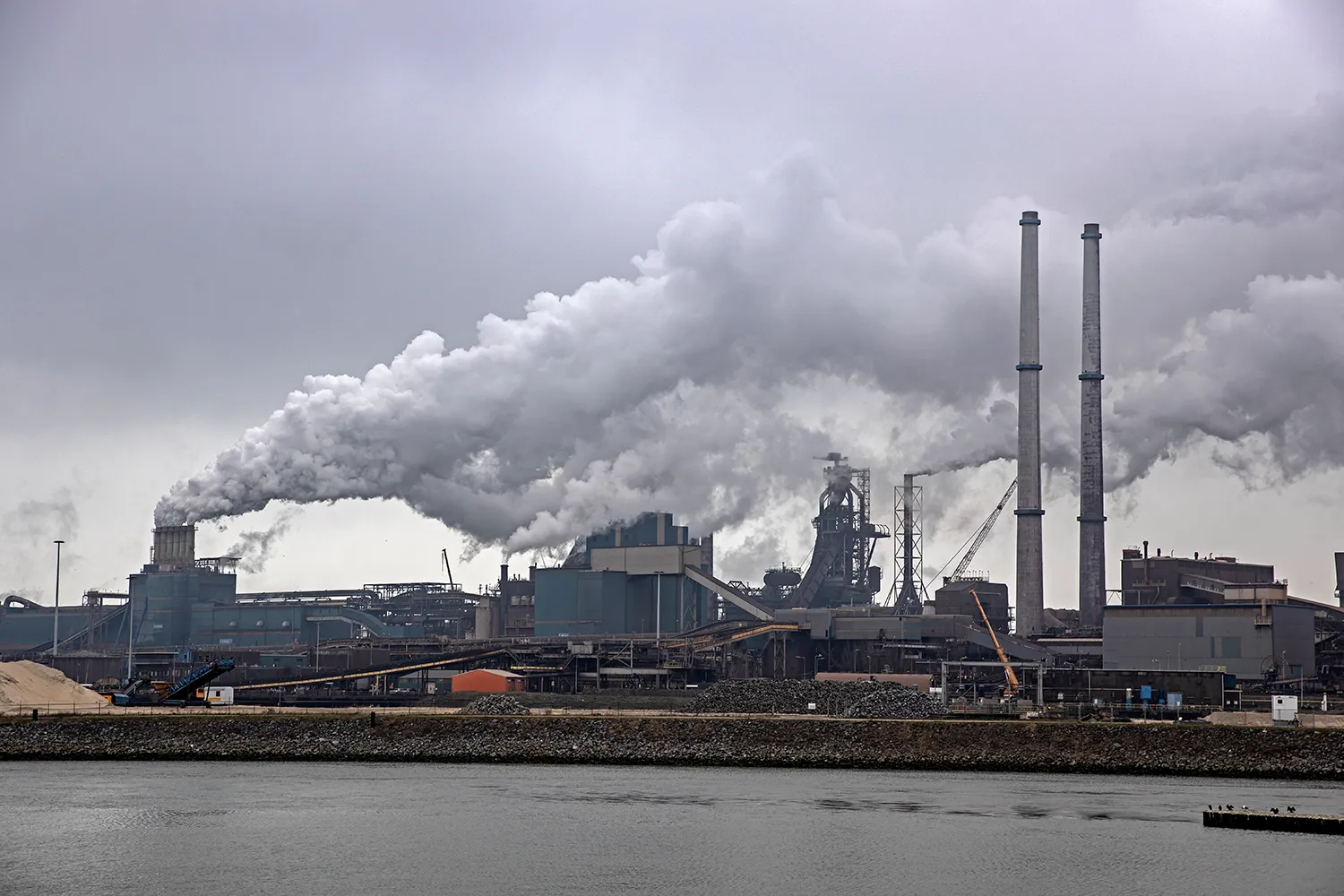 3z1a8815 tata wim meijer fotografie