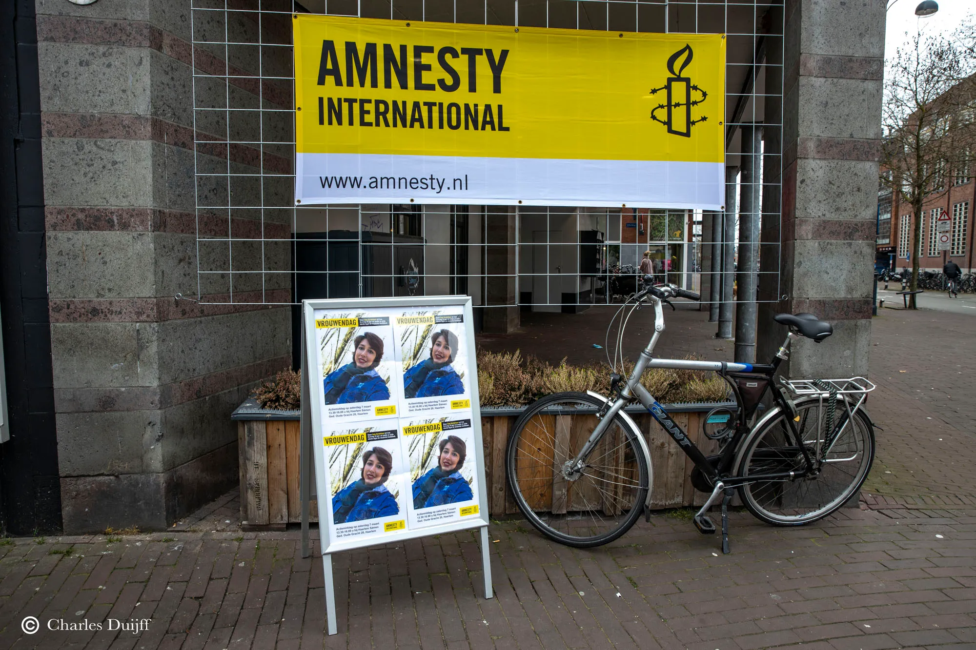 amnesty