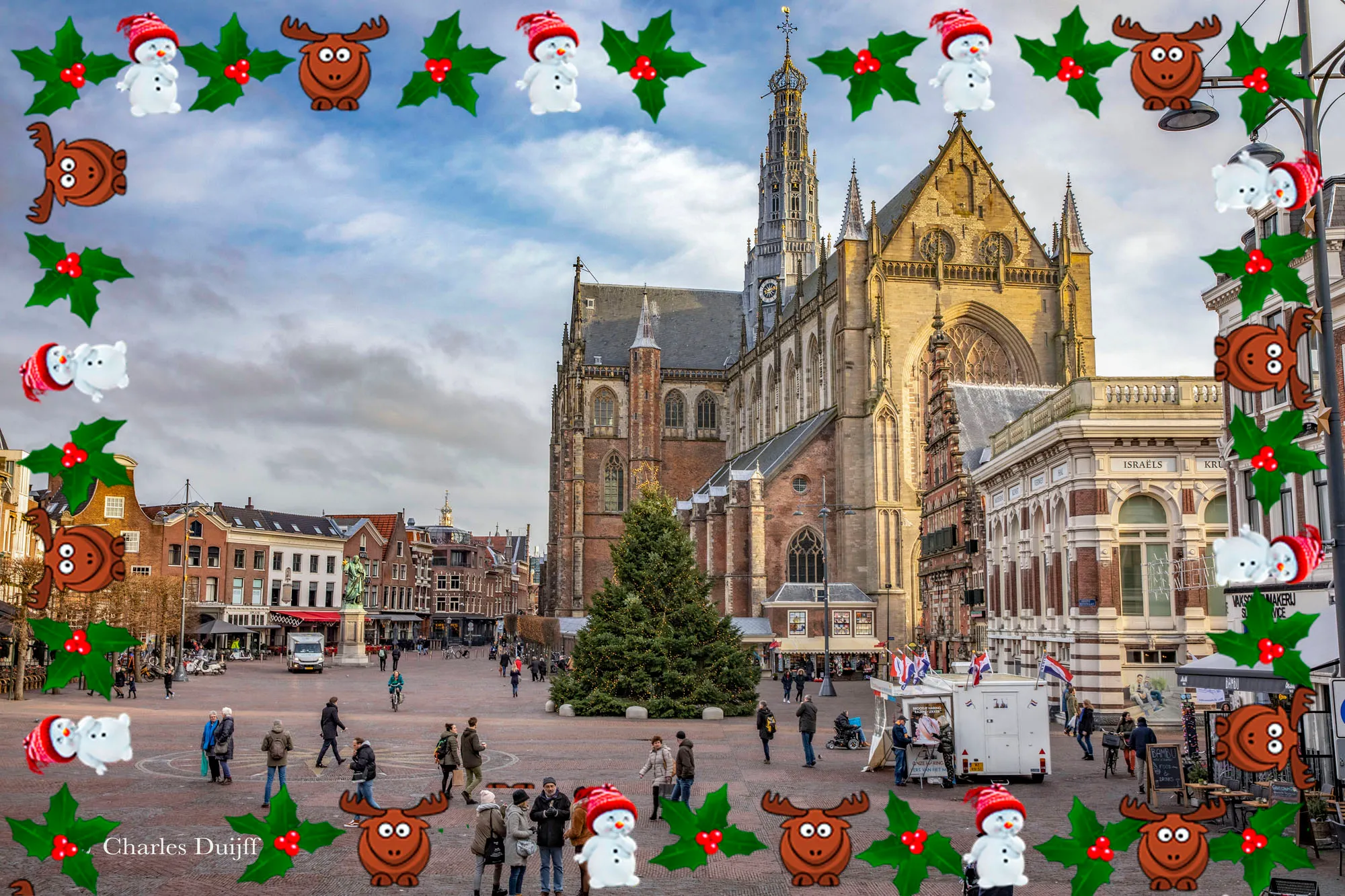 bavo kerstboom
