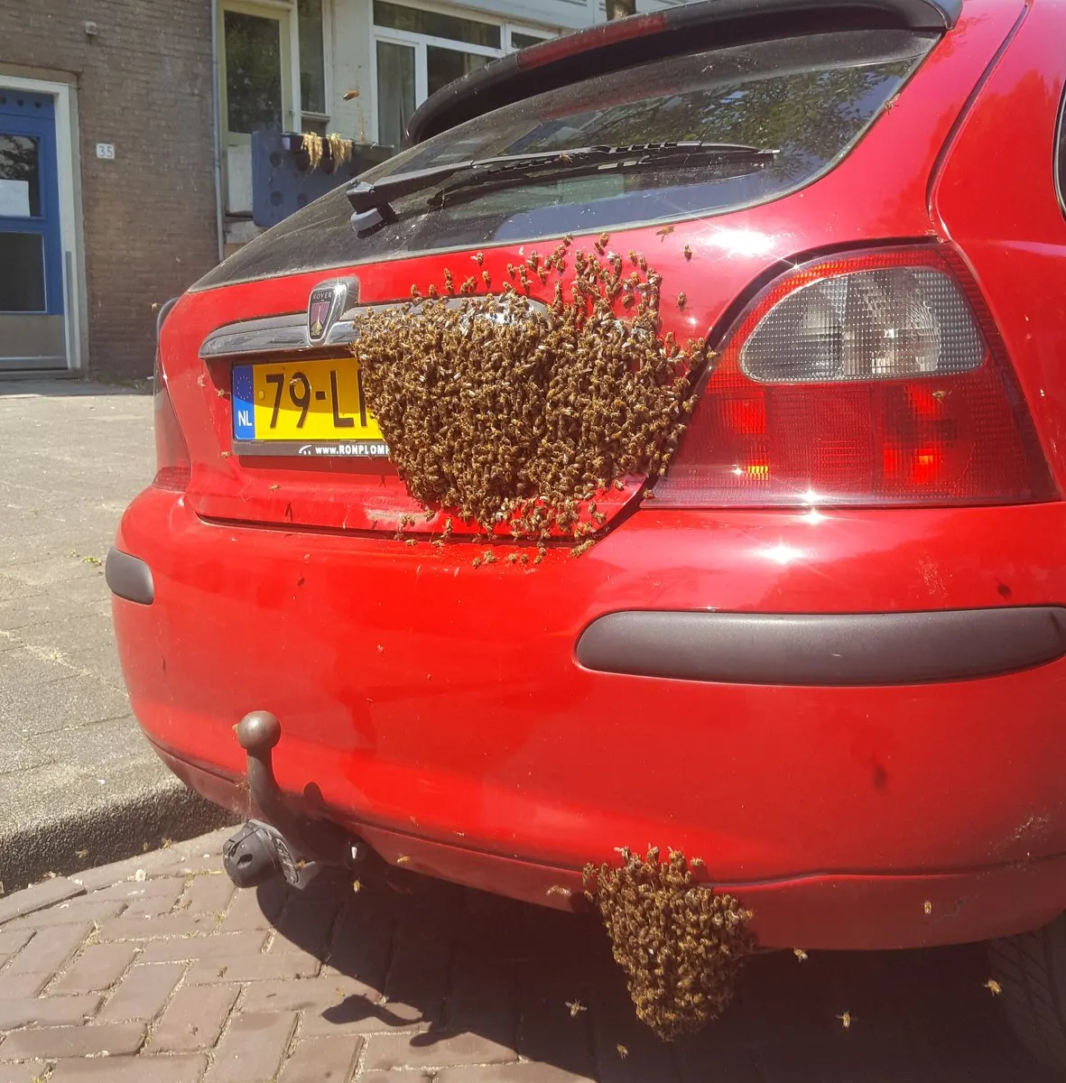 bij