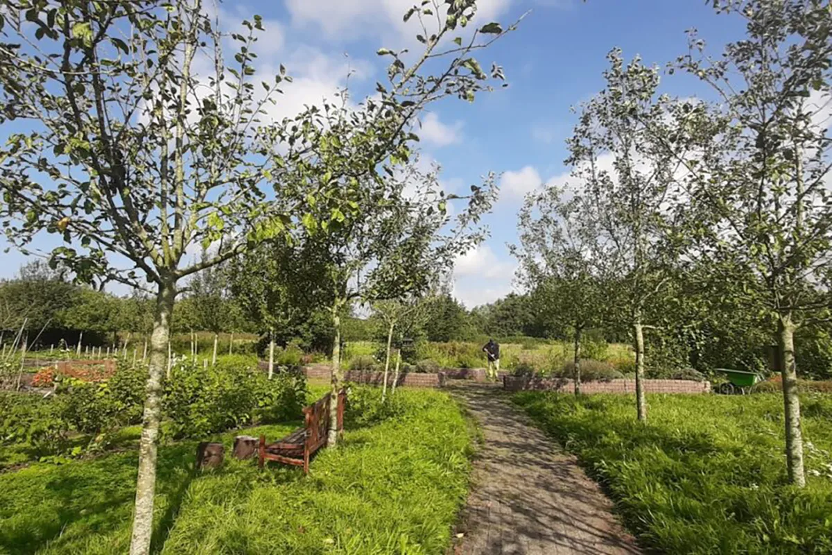 dagbestedingslocatie kennemerhart oppeppers tuindershart kopie