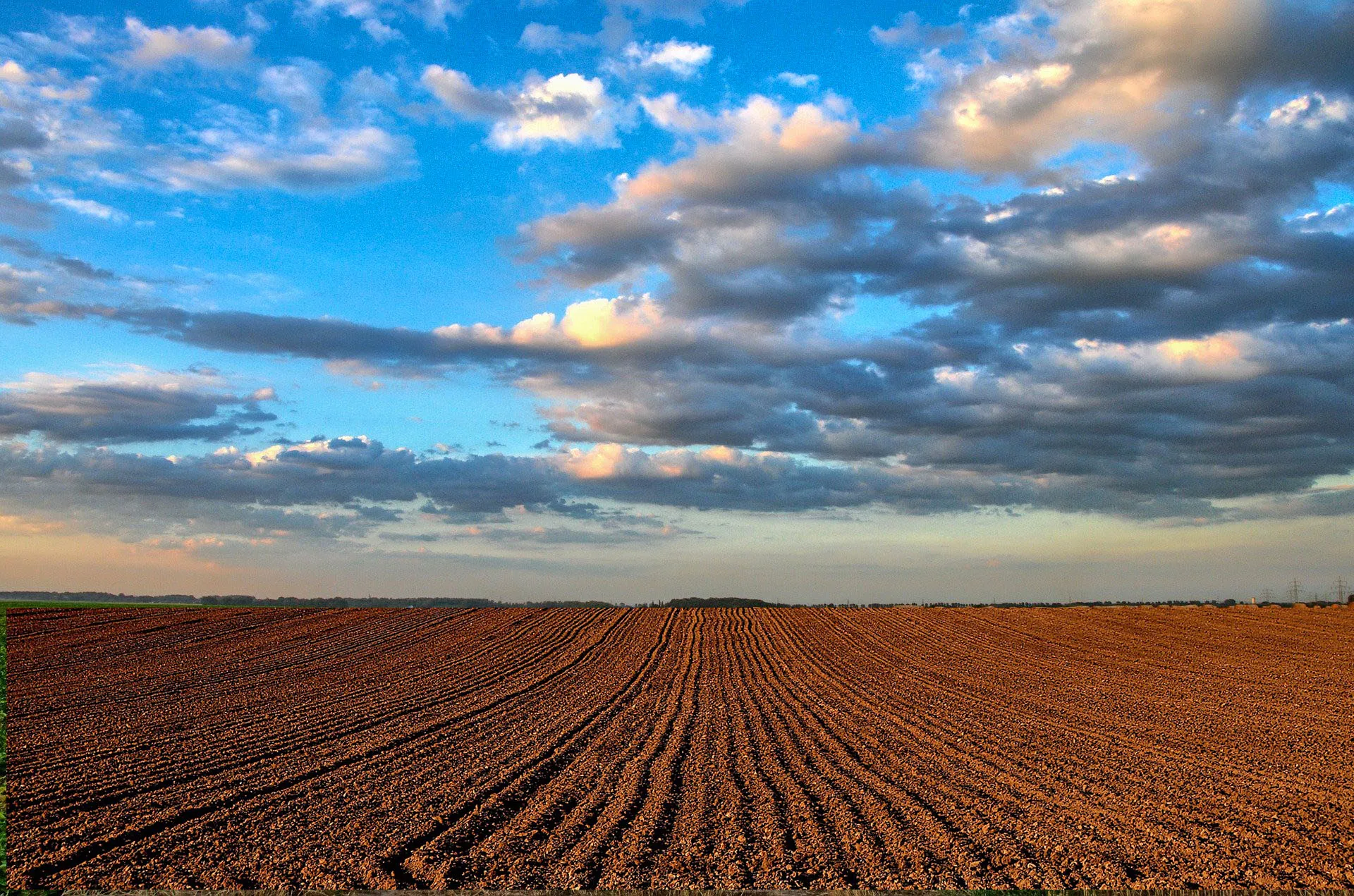 field 213364 1920