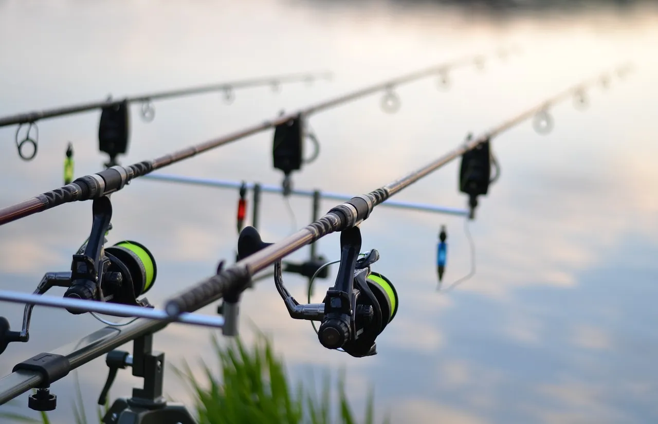 fishing 3302535 1280