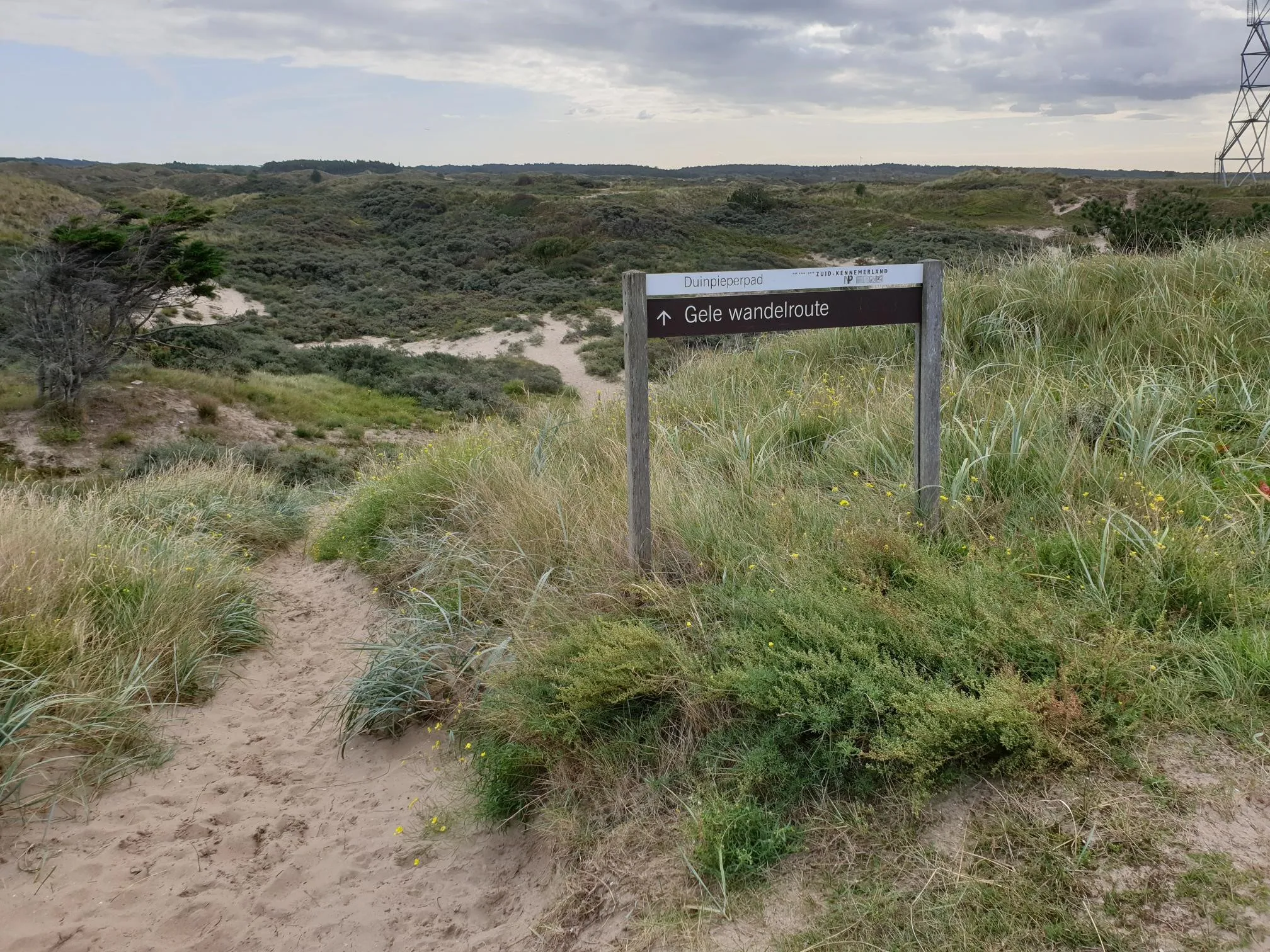 gele route door noordduinen