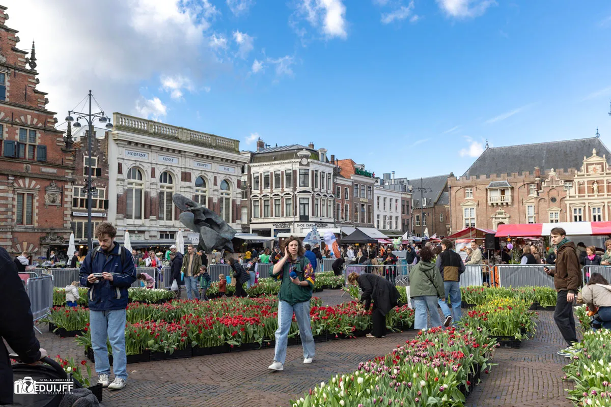 gr markt tulpen 1
