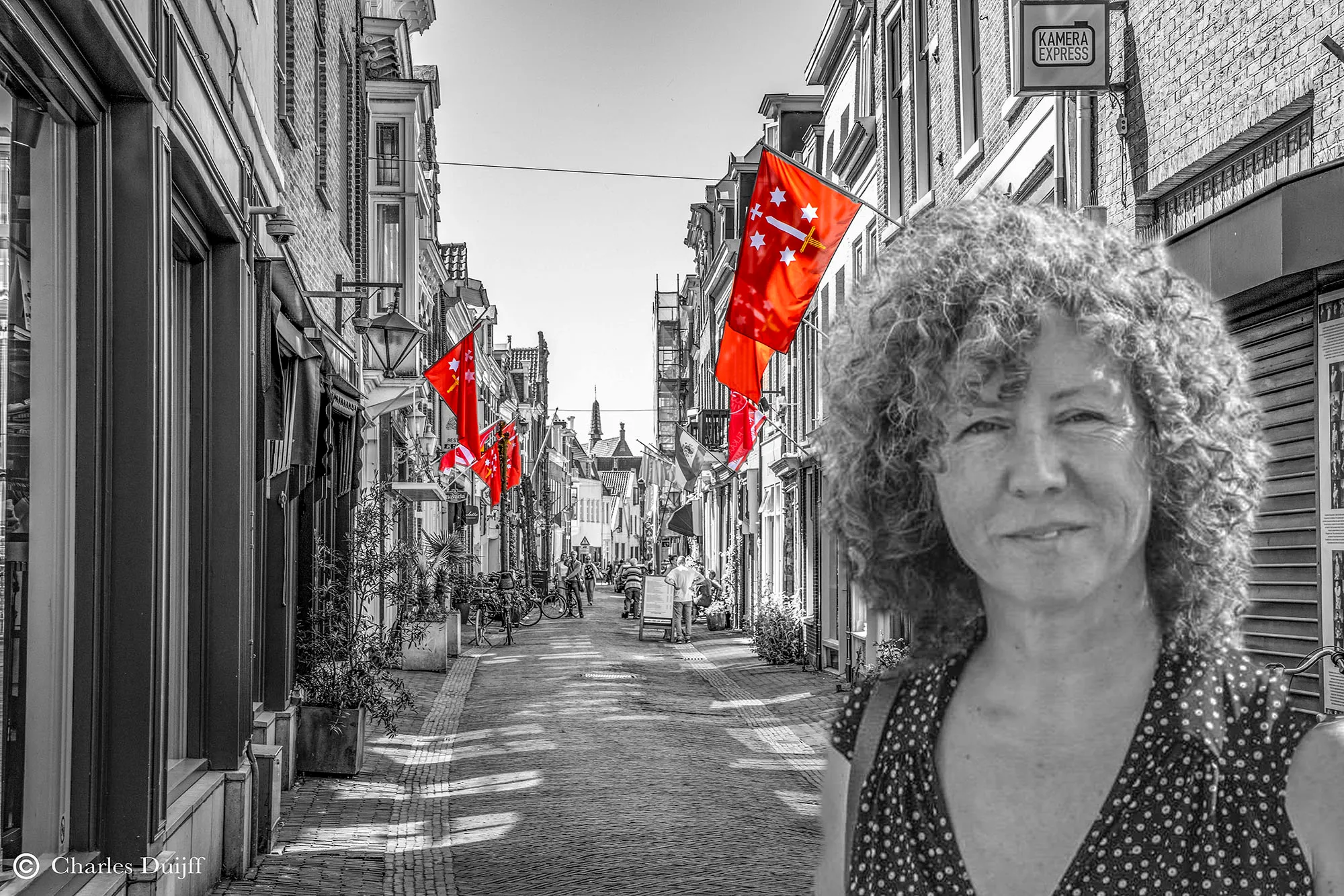 haarlem vlaggen iris