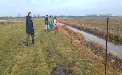 hekslootpolder