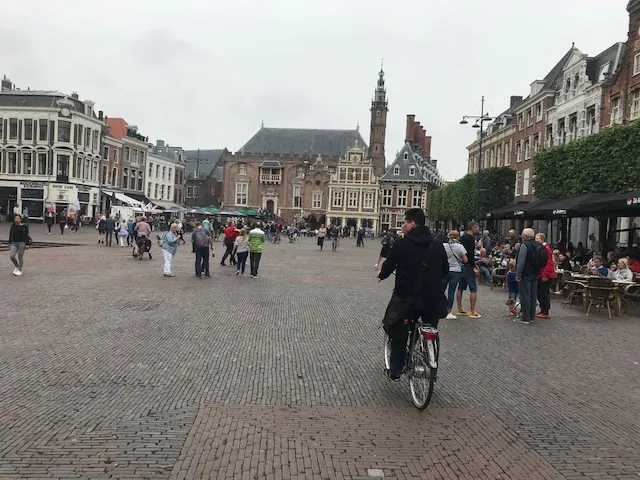 img 0137
