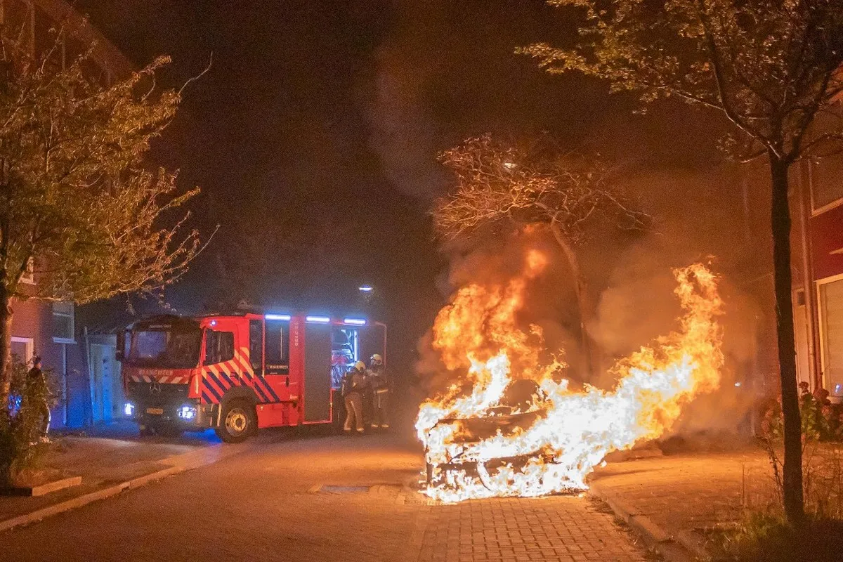 img 20231011 wa0008 copy 1648x1098