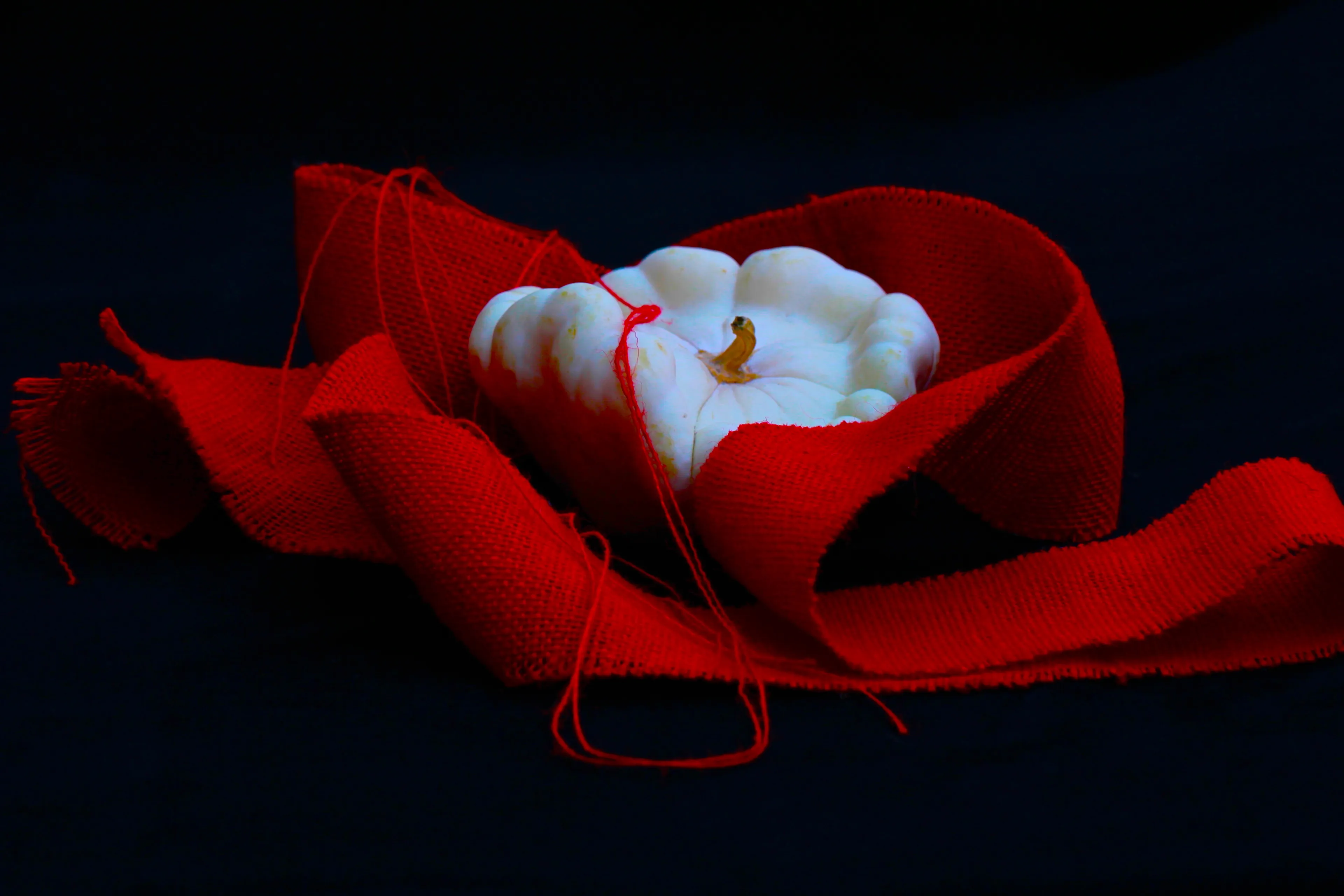 ju pereira werk intensity in red stilleven serie