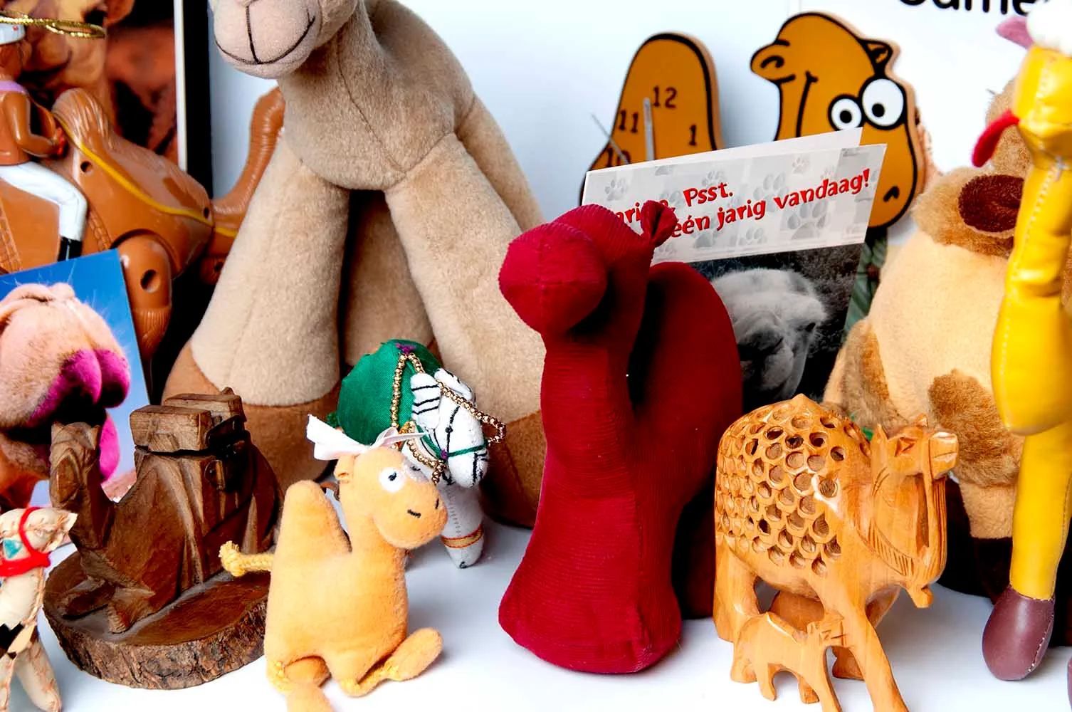 kamelen van tony overzichtsfoto