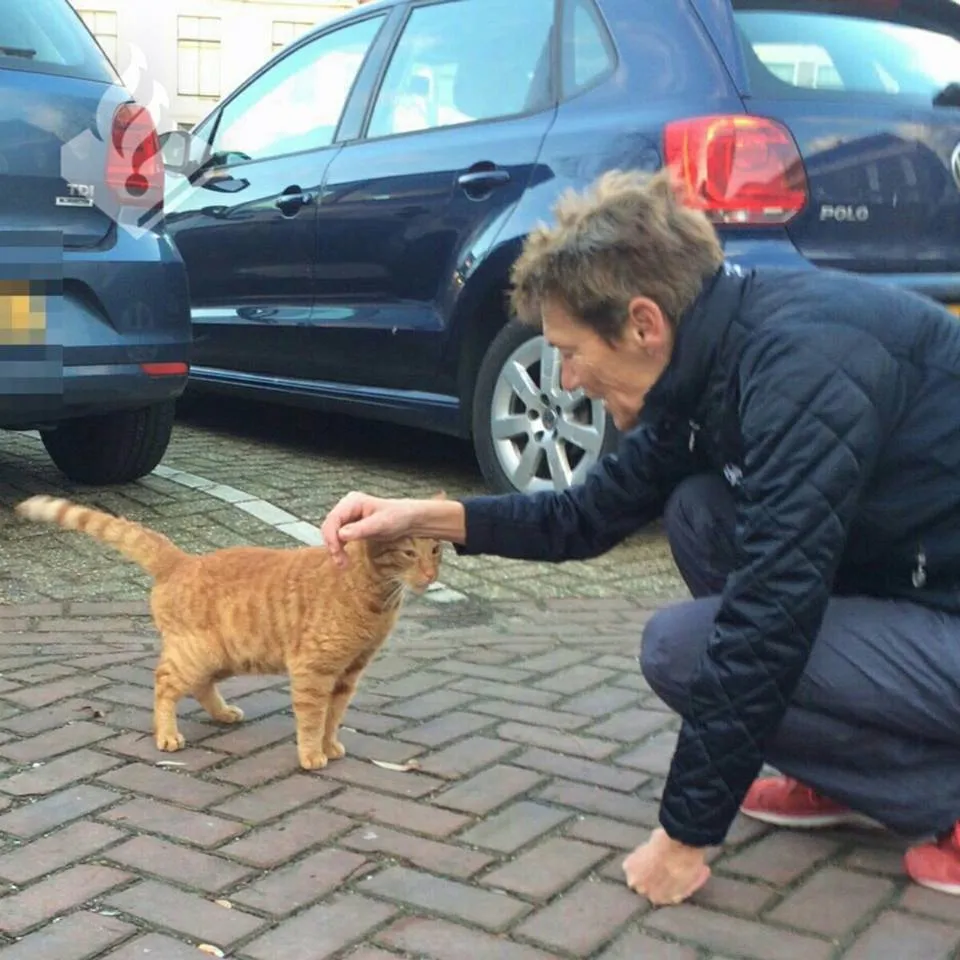 kat