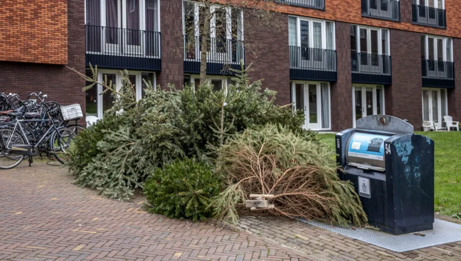 kerstbomen weg2 915x518 1