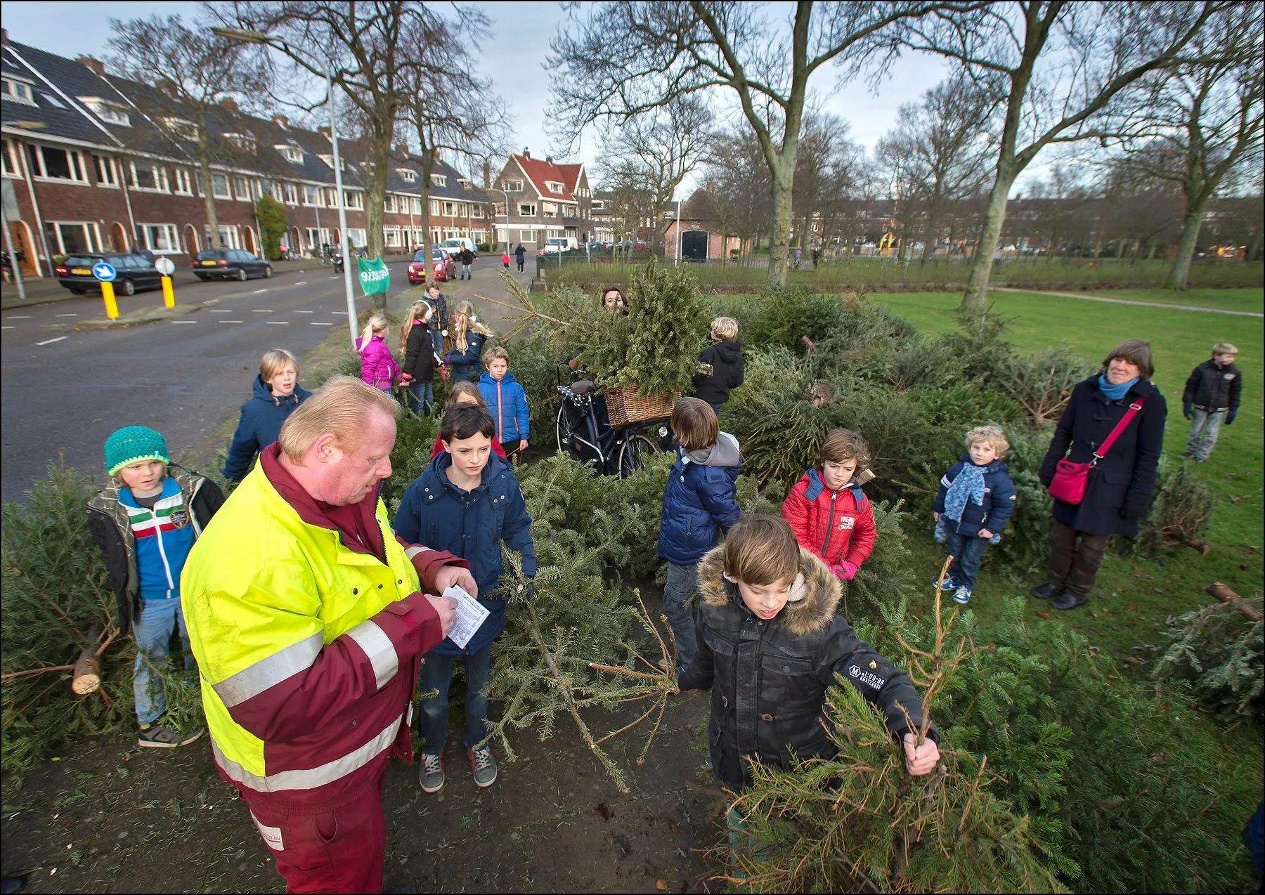kerstbomen
